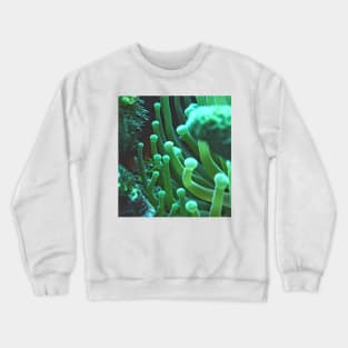 Green Sea Anemone Macro Crewneck Sweatshirt